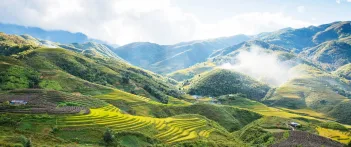 Sapa Banner
